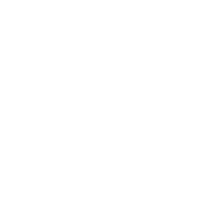 Refine and adjust placement in  real-time3,4